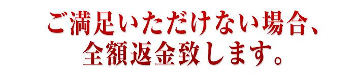 �W���W�����t�g�@���N�R�[�|���[�V����
